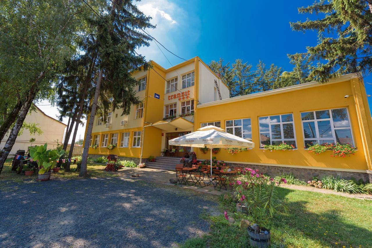 Pensiunea Tranzit Satu Mare Exterior foto